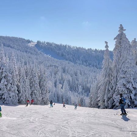 דירות נוירייכנאו Panorama Bayerwald מראה חיצוני תמונה