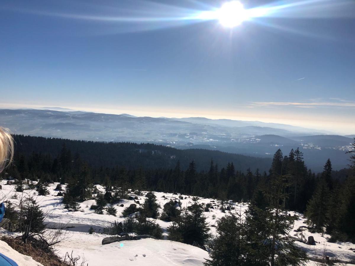 דירות נוירייכנאו Panorama Bayerwald מראה חיצוני תמונה