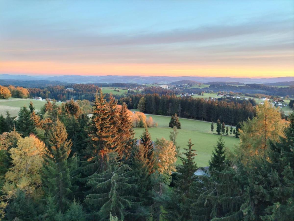 דירות נוירייכנאו Panorama Bayerwald מראה חיצוני תמונה