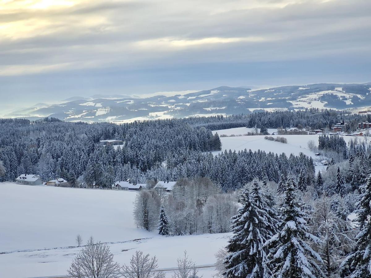דירות נוירייכנאו Panorama Bayerwald מראה חיצוני תמונה